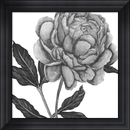Framed Flowers in Grey IV Print