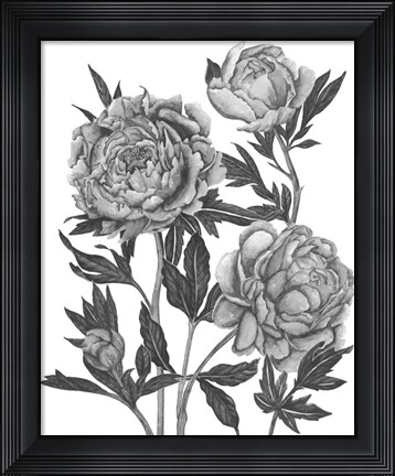 Framed Flowers in Grey V Print