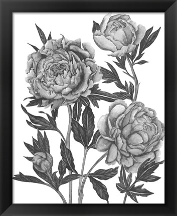 Framed Flowers in Grey V Print