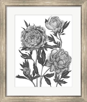 Framed Flowers in Grey V Print