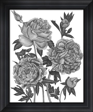 Framed Flowers in Grey VI Print