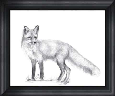 Framed Wildlife Trail I Print
