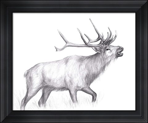 Framed Wildlife Trail II Print