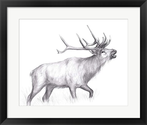 Framed Wildlife Trail II Print