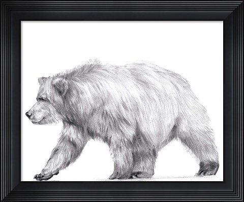 Framed Wildlife Trail III Print