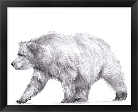 Framed Wildlife Trail III Print