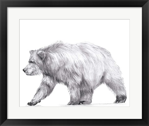 Framed Wildlife Trail III Print