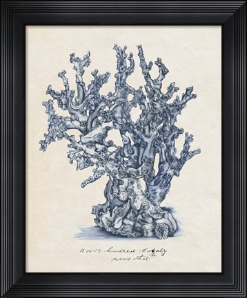 Framed Sea Coral Study IV Print