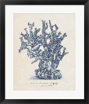 Framed Sea Coral Study IV Print