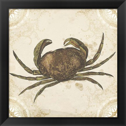 Framed La Mer Shellfish I Print