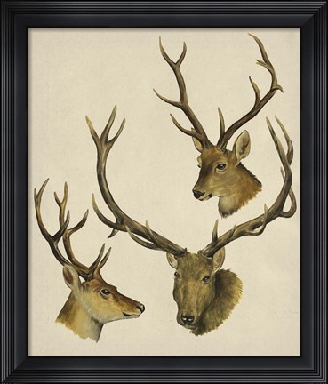 Framed Wild World I Print