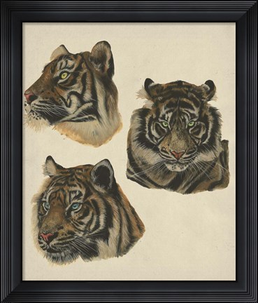 Framed Wild World II Print