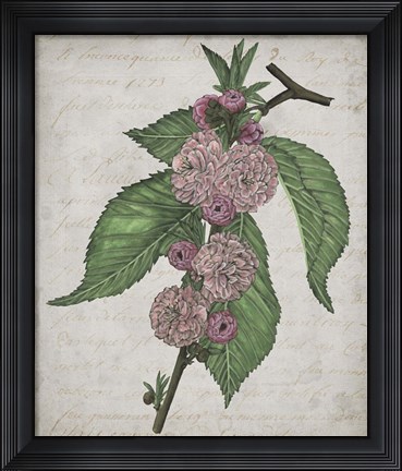 Framed Floral Memory I Print