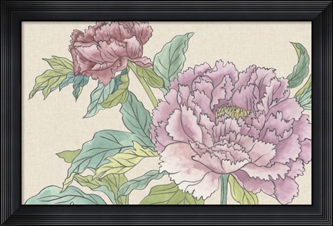 Framed Peony Blooms I Print