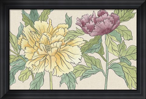 Framed Peony Blooms II Print