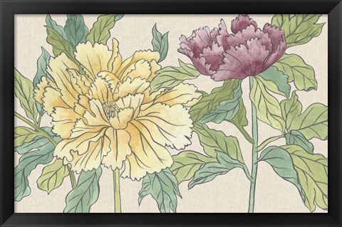 Framed Peony Blooms II Print