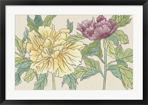 Framed Peony Blooms II Print