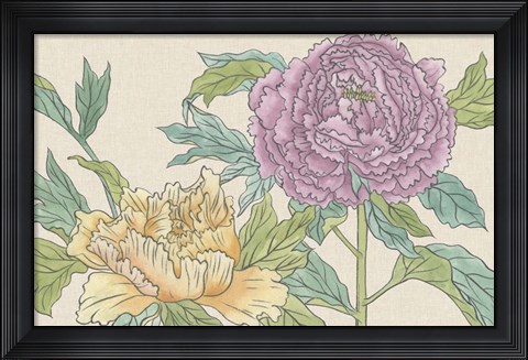 Framed Peony Blooms III Print