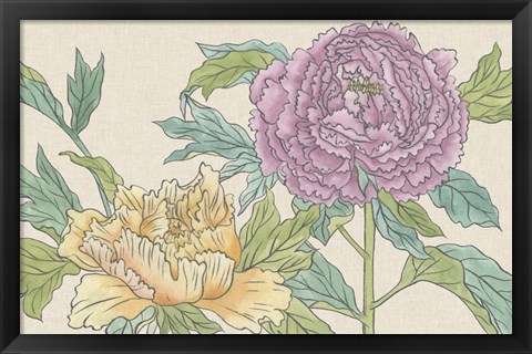 Framed Peony Blooms III Print