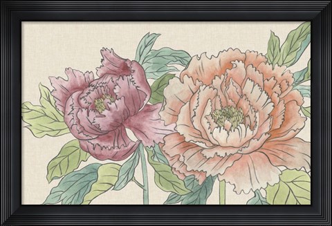 Framed Peony Blooms IV Print