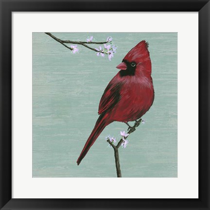 Framed Bird &amp; Blossoms II Print