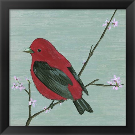 Framed Bird &amp; Blossoms III Print