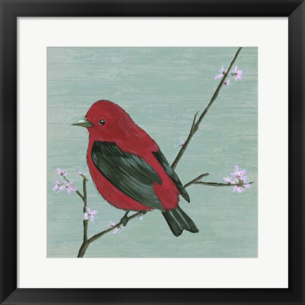 Framed Bird &amp; Blossoms III Print