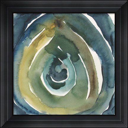 Framed Peacock Reflection II Print