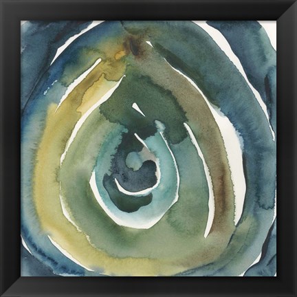 Framed Peacock Reflection II Print