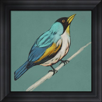 Framed Winged Sketch II on Teal Print