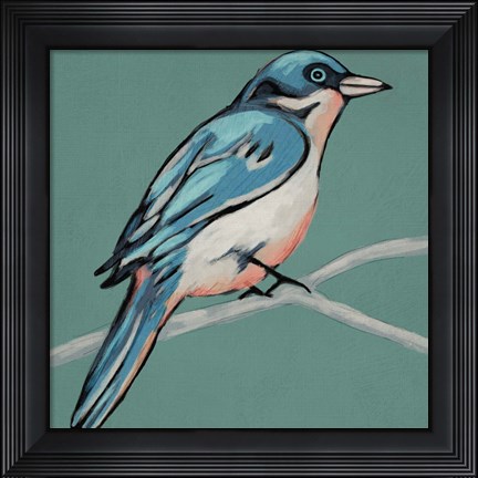Framed Winged Sketch IV on Teal Print