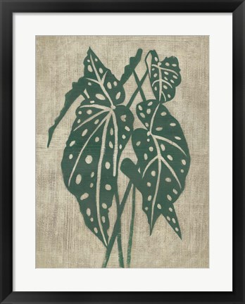 Framed Vintage Greenery II Print