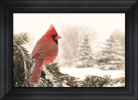 Framed Winter Perch Print