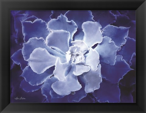 Framed Blue Succulent I Print