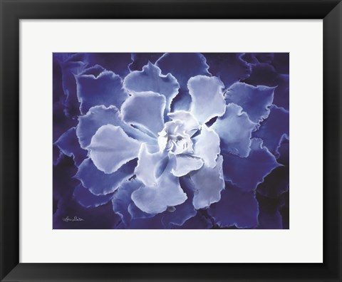 Framed Blue Succulent I Print