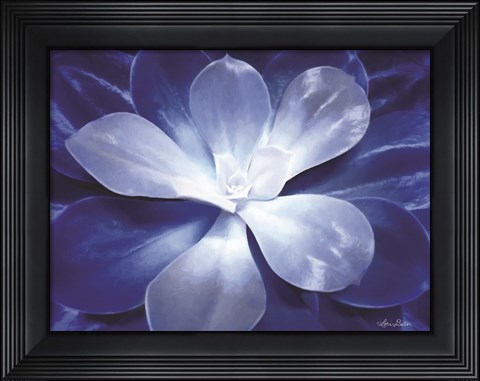 Framed Blue Succulent II Print