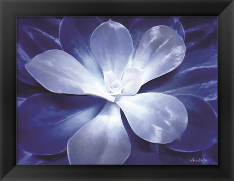 Framed Blue Succulent II Print