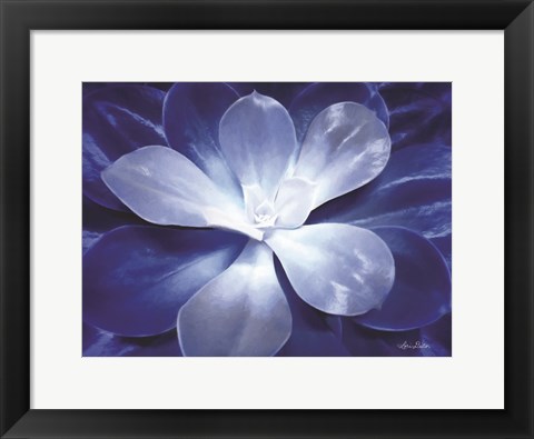 Framed Blue Succulent II Print