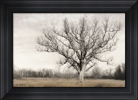 Framed Earth &amp; Sky Print