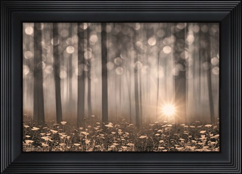 Framed Enchanted Morning Print