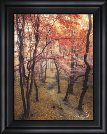 Framed High Up in the Trees Print
