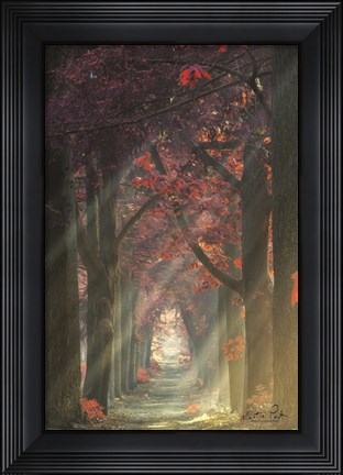 Framed Path of Happiness Print