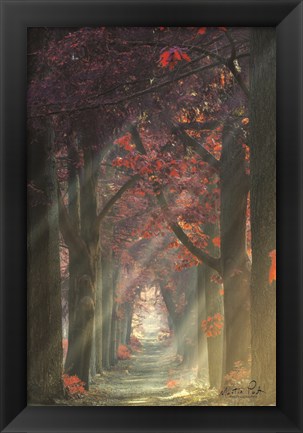 Framed Path of Happiness Print