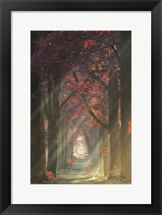 Framed Path of Happiness Print