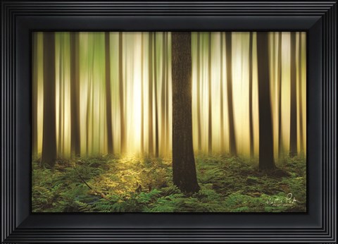 Framed Forest in Motion Print