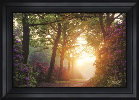 Framed Color Overdose Print