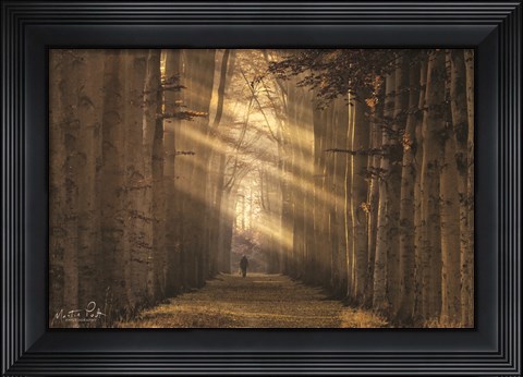 Framed Walking the Dog Again Print