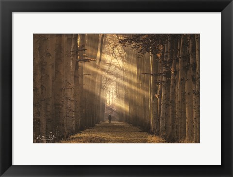 Framed Walking the Dog Again Print