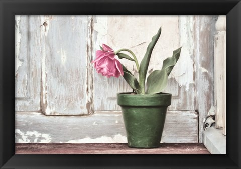 Framed Take a Bow Tulip Print