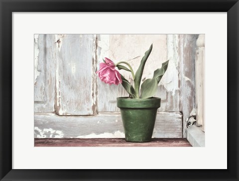 Framed Take a Bow Tulip Print